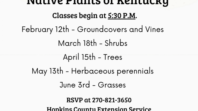 Native Plants of Kentucky